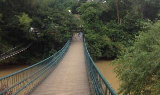 良凤江国家森林公园 良凤江国家森林公园